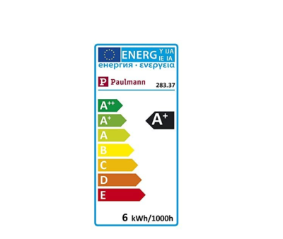 Paulmann LED Lampe Globe 6W E27 Warmweiß 600lm Leuchtmittel